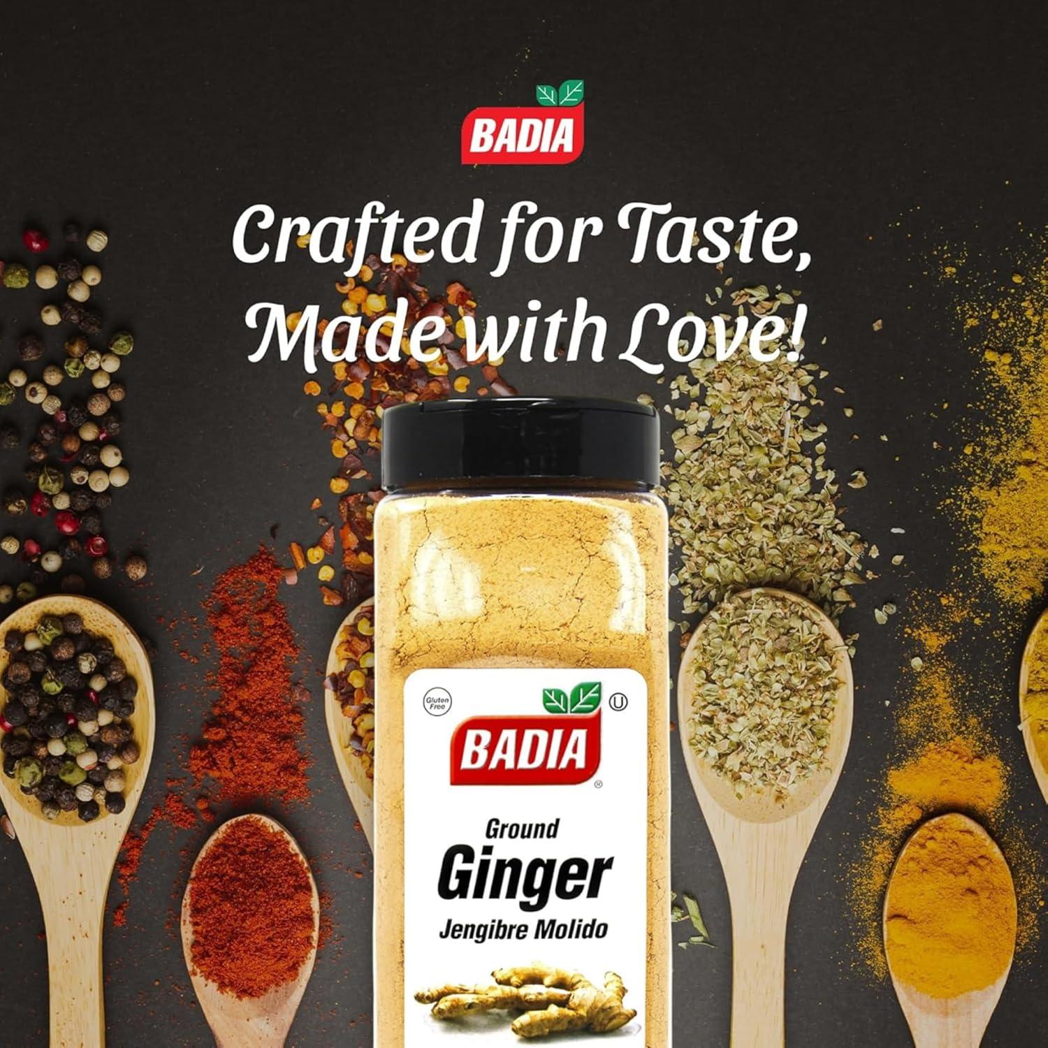 imageBadia Ground Ginger Powder 12 oz  Fresh Aromatic Ground Ginger Root